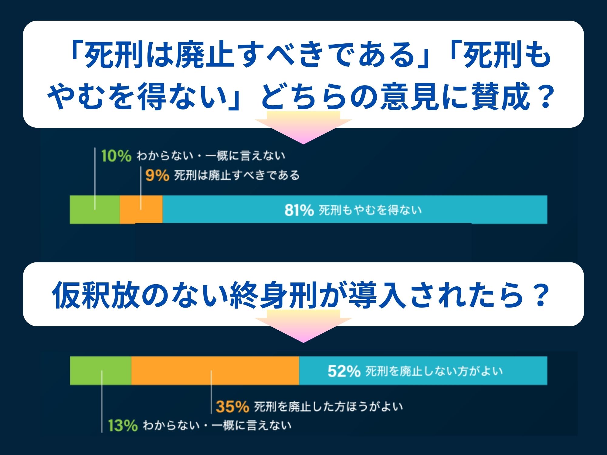 死刑に関する世論調査　画像